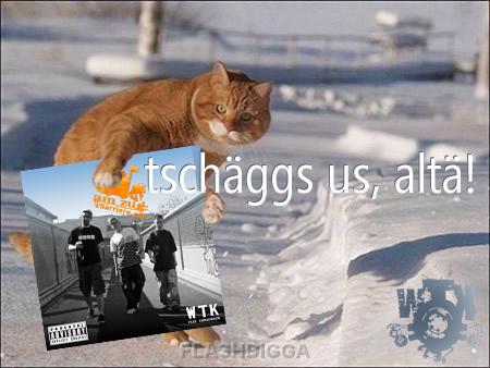 achtung chatz achtung chatz